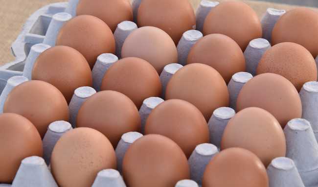 Uova disposto ritiro per pericolo di salmonellosi