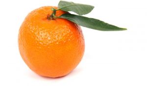 Cala il consumo mondiale di succo di arancia