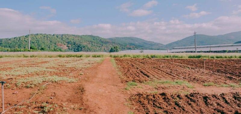 Terracina braccianti minacciati persino con le armi