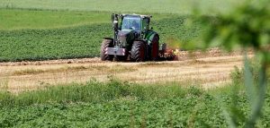 Domande di regolarizzazione poche nel settore agricolo