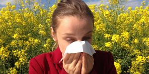 Quando allergia primaverile puo tramutarsi in asma