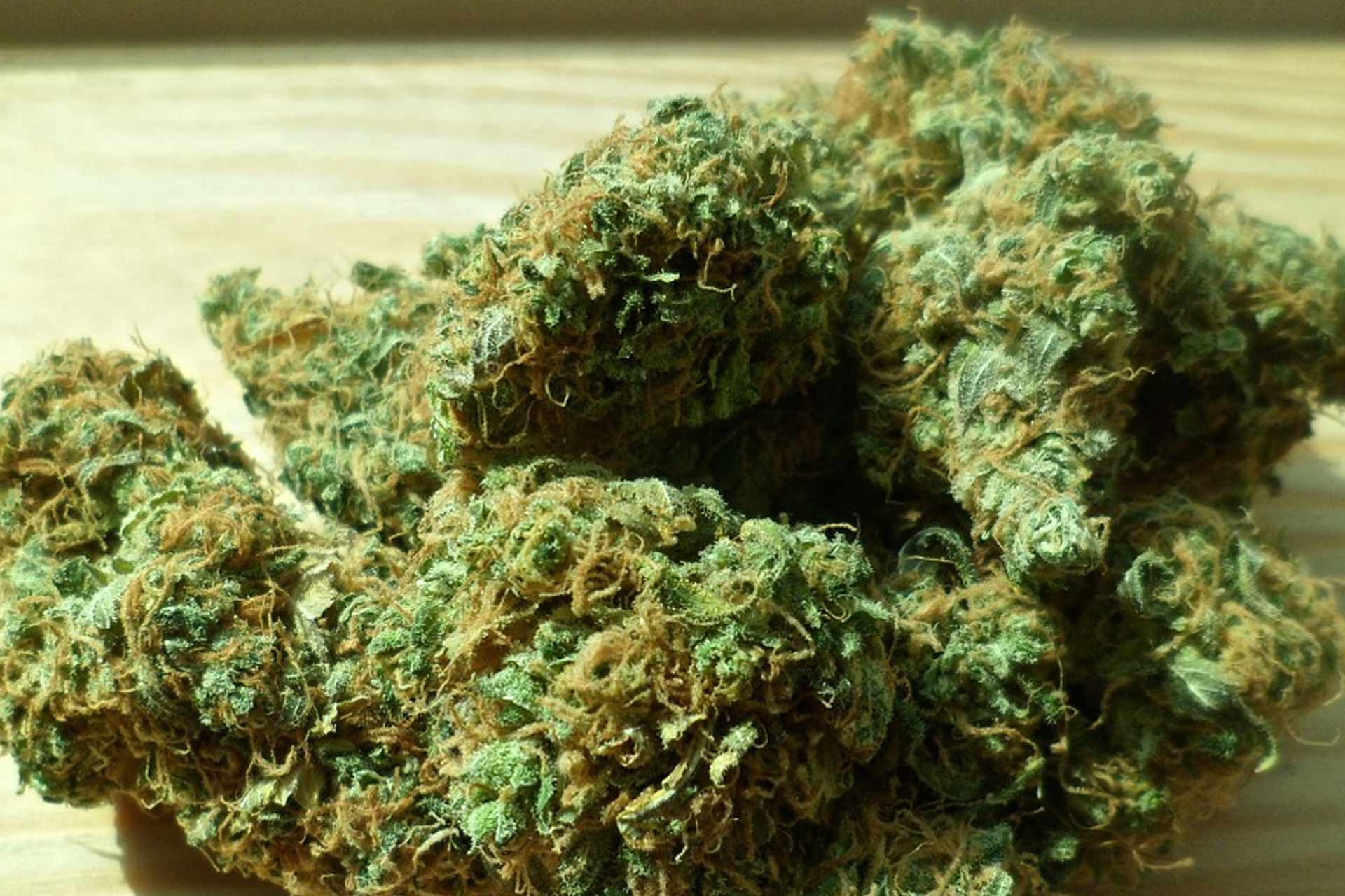 La FDA riconosce il valore medico della cannabis