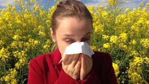 Allergia ai pollini il periodo non solo la primavera