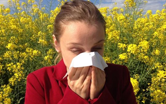 Allergia ai pollini il periodo non solo la primavera