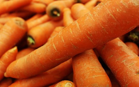 Ecco perche dovresti avere sempre le carote in casa