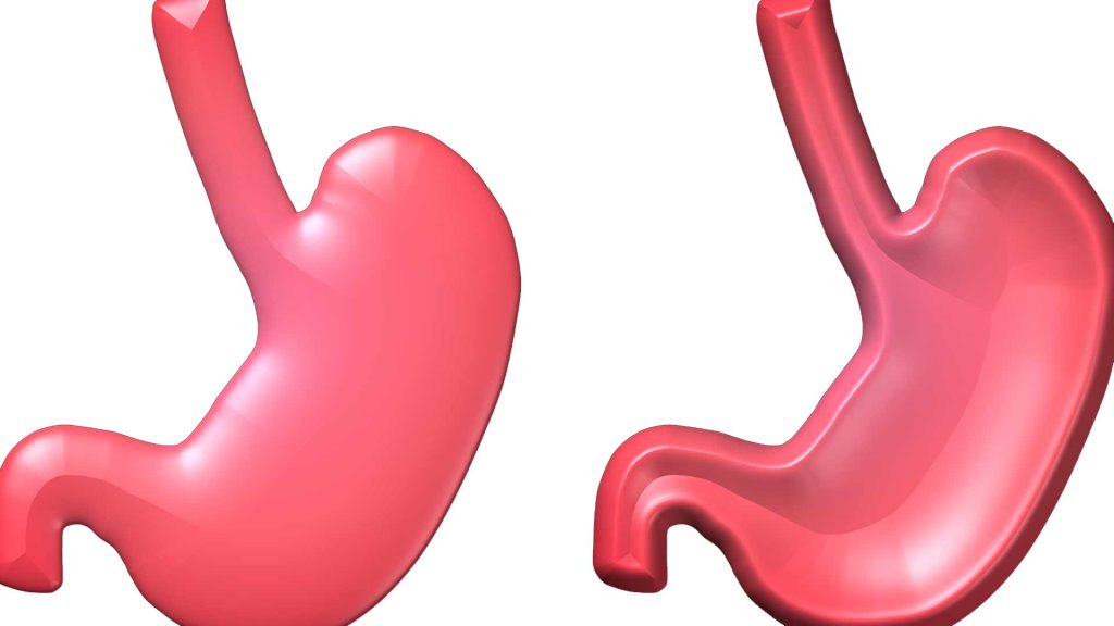 Forse non conosci il vero ruolo del fegato nella digestione