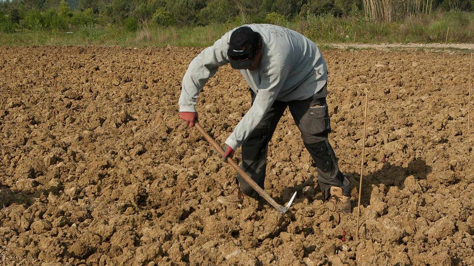 Esposizione al sole: Maggiore rischio cancro per alcune professioni