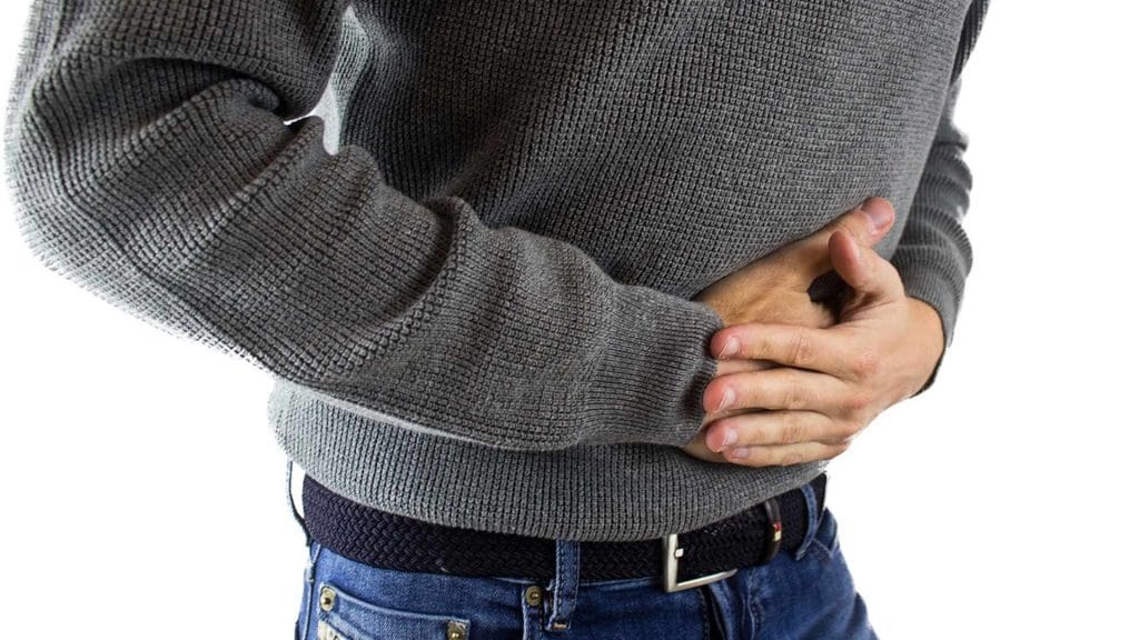 Come aumentare i batteri utili nel tratto digestivo