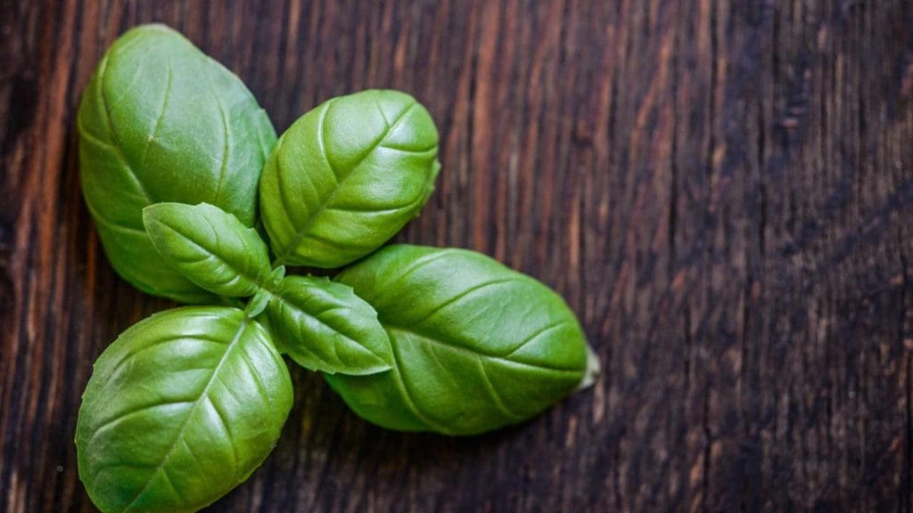 I benefici del basilico che certamente non conosci