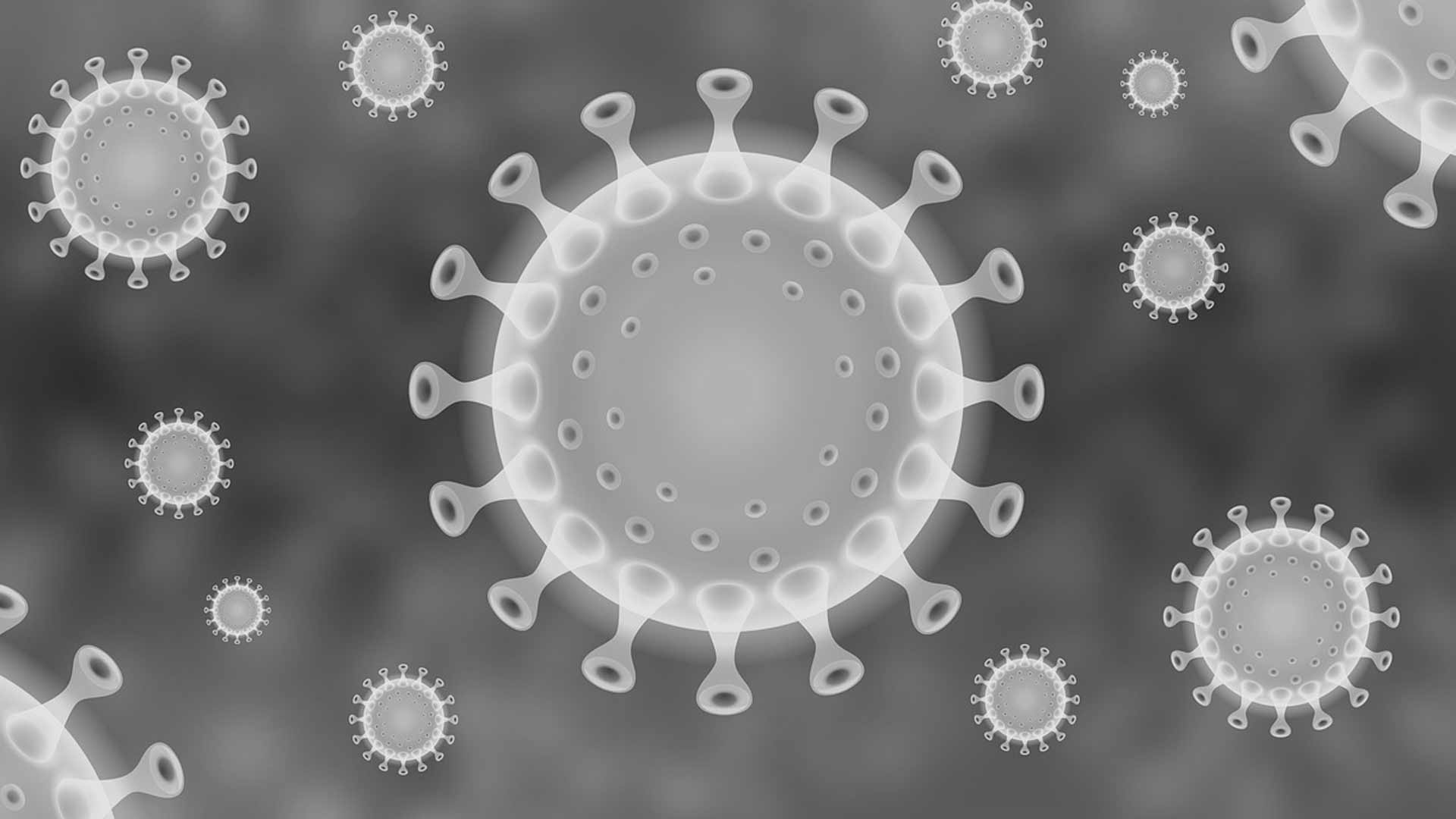 Il coronavirus non sparira ma diventera una malattia endemica