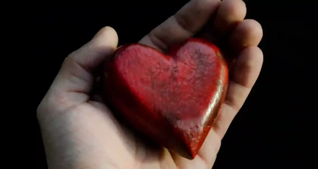 Sulla salute del cuore influisce anche il riscaldamento globale