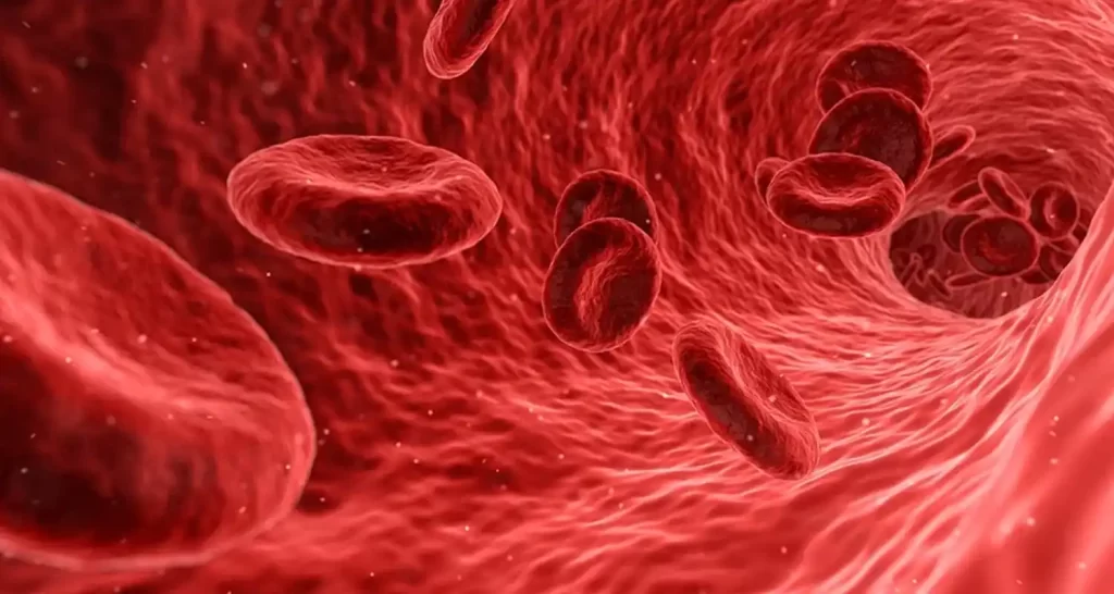 Come aumentare le piastrine in modo naturale