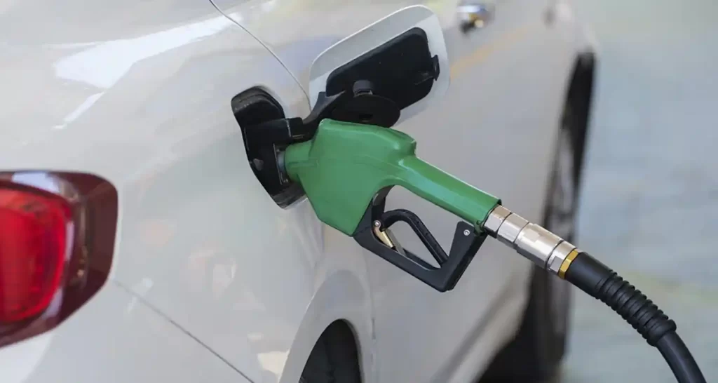 Biodiesel di cosa parliamo e dove lo troviamo