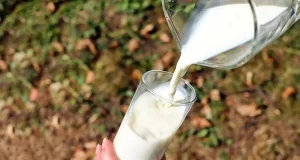 Differenza tra senza latte e senza lattosio spiegazione