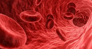 Come conoscere il proprio gruppo sanguigno