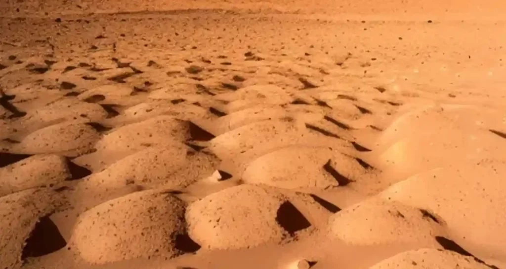 The Martian Ma davvero possibile coltivare patate su Marte