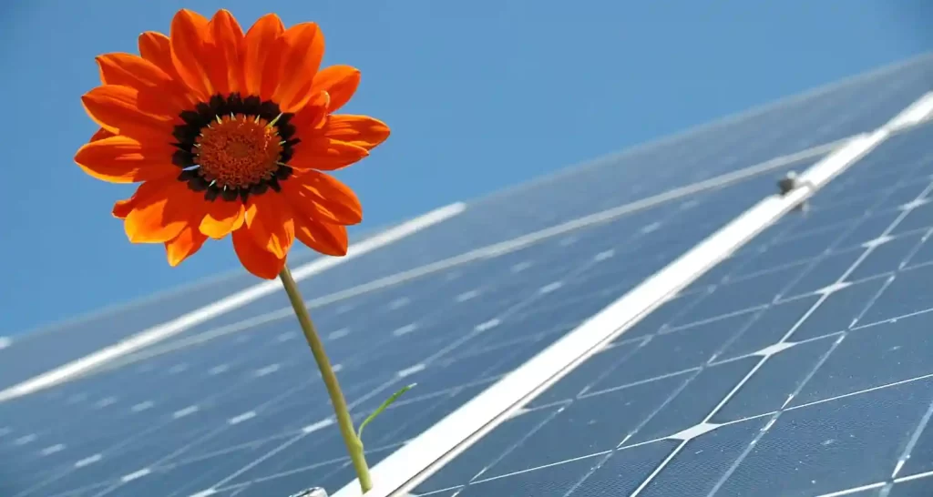 Sistemi di Accumulo Fotovoltaico Innovazioni e Tendenze del Mercato