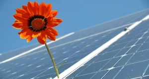 Sistemi di Accumulo Fotovoltaico Innovazioni e Tendenze del Mercato