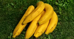 Ecco a cosa porta il consumo eccessivo di banane