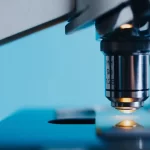 Gli scienziati fanno crescere dei testicoli in laboratorio
