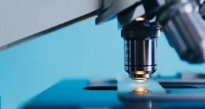 Gli scienziati fanno crescere dei testicoli in laboratorio