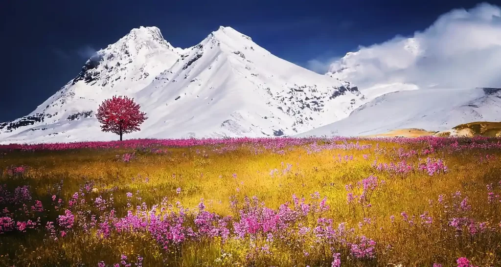 Il profumo dei fiori cambiato con inquinamento atmosferico