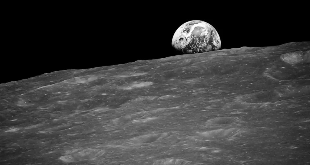 I tardigradi terrestri stanno colonizzando la Luna