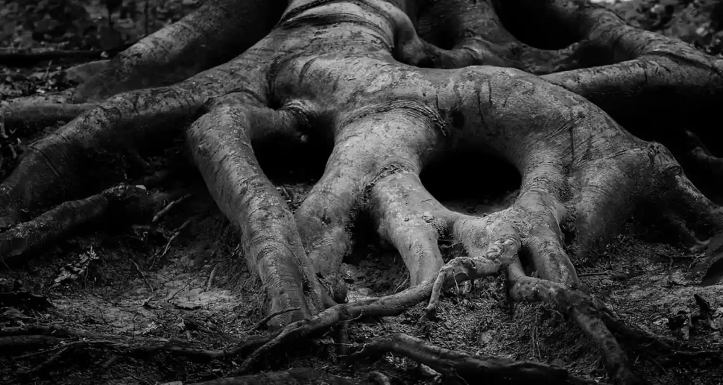 La foresta primordiale una scoperta rivoluzionaria in Inghilterra