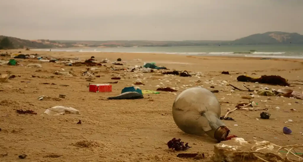 Le microplastiche sono ormai ovunque