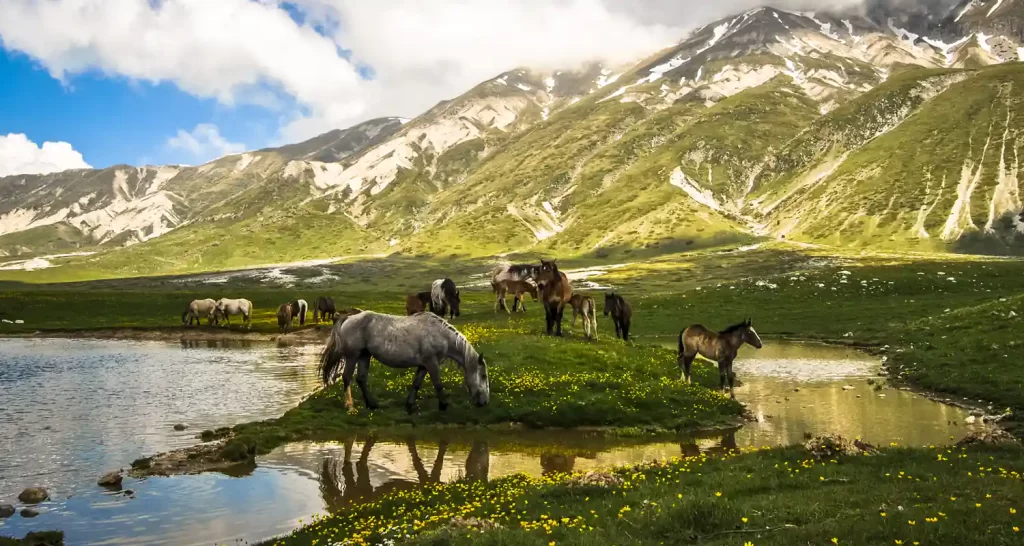 Tutte le curiosita e tradizioni de Abruzzo
