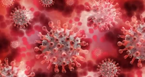 La prossima pandemia sara causata dal virus de influenza