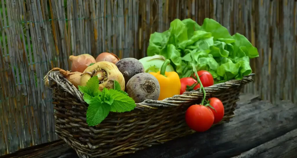 Alimentazione Vegetale Alleata Potente contro il Cancro alla Prostata