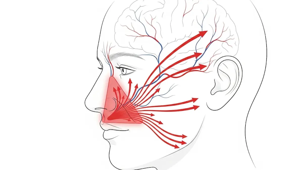 Il Triangolo della Morte: perché non toccare mai quest’area