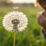 Primavera amara: l’impennata dei pollini travolge l’Italia. Ecco dove l’allerta è massima in queste ore