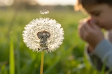 Primavera amara: l’impennata dei pollini travolge l’Italia. Ecco dove l’allerta è massima in queste ore