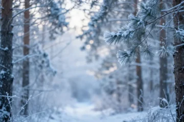 “La pelle dell’orso”: il thriller che trasforma l’ansia in istinto di sopravvivenza è il caso cinematografico del momento