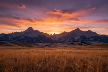 Taylor Sheridan colpisce ancora: “The Madison” arriva in streaming. Perché tutti ne parlano e come vederlo ora