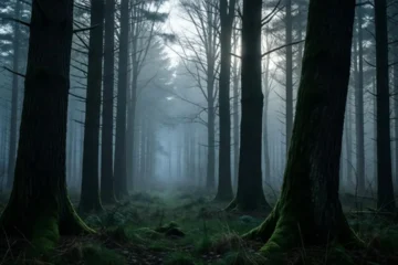 Netflix annuncia The Woods: Michelle Keegan e Tom Bateman nel nuovo thriller di Harlan Coben